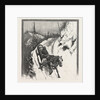 Lumbering, Canada by Anonymous