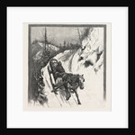 Lumbering, Canada by Anonymous
