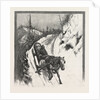 Lumbering, Canada by Anonymous