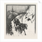 Lumbering, Canada by Anonymous