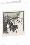 Lumbering, Canada by Anonymous