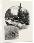 The Upper Lakes, on the Kaministiquia, Canada by Anonymous