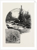 The Upper Lakes, on the Kaministiquia, Canada by Anonymous