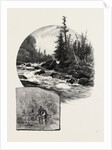 The Upper Lakes, on the Kaministiquia, Canada by Anonymous