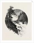 Manitoba, Falls of the Winnipeg, Canada by Anonymous