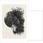 Manitoba, a Prairie Stream, Canada by Anonymous