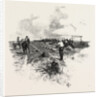 Manitoba, the Harvesters, Canada by Anonymous