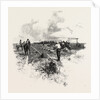 Manitoba, the Harvesters, Canada by Anonymous