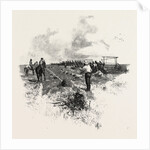 Manitoba, the Harvesters, Canada by Anonymous