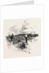 Manitoba, the Harvesters, Canada by Anonymous
