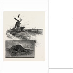 Niagara District, Old Fort Erie, and Windmill, Canada by Anonymous