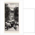 Ravine Near Whirlpool, Canada by Anonymous