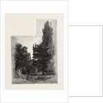 St. Mark's Church, Niagara, Canada by Anonymous