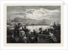 Toronto Harbour, a Sculling Match, Canada by Anonymous