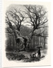 Windsor: William the Conqueror's Oak by Anonymous