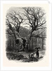 Windsor: William the Conqueror's Oak by Anonymous