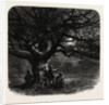 Windsor: The Watch Oak by Anonymous
