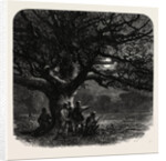 Windsor: The Watch Oak by Anonymous