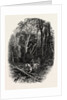 In Cedar Walk, Virginia Water, Village Being in the Borough of Runnymede in Surrey by Anonymous