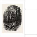 In Cedar Walk, Virginia Water, Village Being in the Borough of Runnymede in Surrey by Anonymous