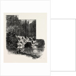 The Cascade, Virginia Water, Village Being in the Borough of Runnymede in Surrey by Anonymous