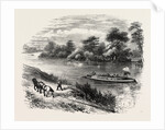 Magna Charta Island, in the River Thames, England by Anonymous