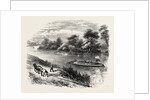 Magna Charta Island, in the River Thames, England by Anonymous