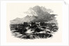 Bridge Near Capel Curig by Anonymous