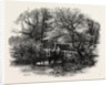 Markeaton Brook, East Midlands of England by Anonymous