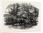 Markeaton Brook, East Midlands of England by Anonymous