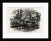 Markeaton Brook, East Midlands of England by Anonymous