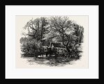 Markeaton Brook, East Midlands of England by Anonymous