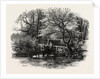 Markeaton Brook, East Midlands of England by Anonymous