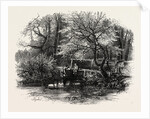 Markeaton Brook, East Midlands of England by Anonymous