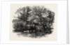 Markeaton Brook, East Midlands of England by Anonymous