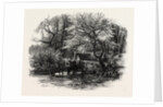 Markeaton Brook, East Midlands of England by Anonymous