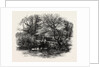 Markeaton Brook, East Midlands of England by Anonymous