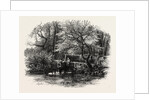 Markeaton Brook, East Midlands of England by Anonymous