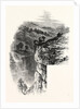 Lytton Dale by Anonymous