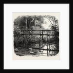 Near Godalming, Surrey, England by Anonymous