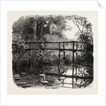 Near Godalming, Surrey, England by Anonymous