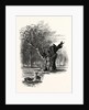 Giant Oak, Near Cranbourne Tower by Anonymous