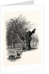 Giant Oak, Near Cranbourne Tower by Anonymous