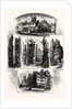 Bits in Old Edinburgh: Advocate's Close, Corner of West Bow, Cardinal Beaton's House, Queen Mary's Bath House, Cowgate; Scotland by Anonymous