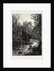 Hawthornden by Anonymous