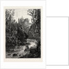 Hawthornden by Anonymous