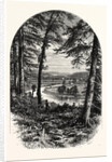 The Vale of Avoca, Ireland by Anonymous