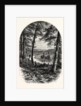 The Vale of Avoca, Ireland by Anonymous
