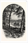 The Vale of Avoca, Ireland by Anonymous