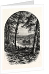 The Vale of Avoca, Ireland by Anonymous